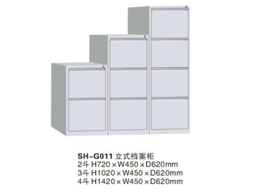 ��ʽ������